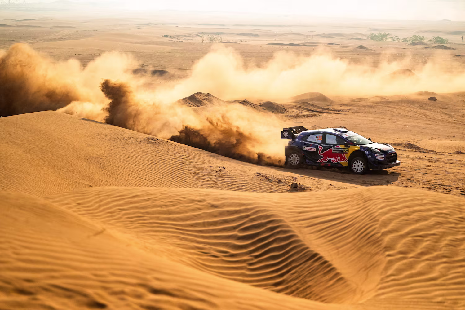 World Rally Championship